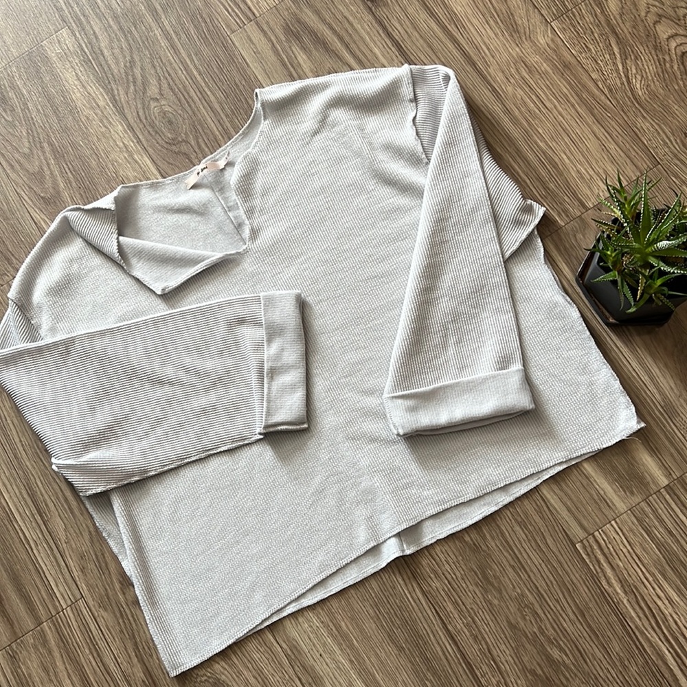 Francesca’s Loose Fit Crop Top